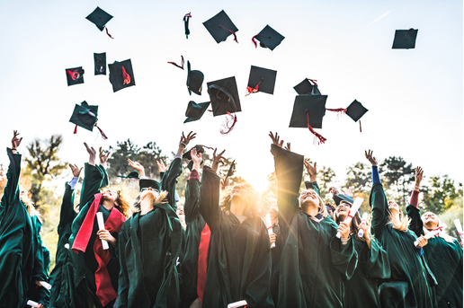scholarships