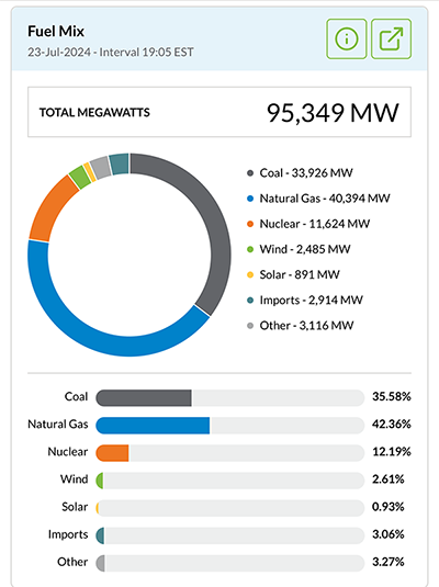 Fuels used to generate electricity