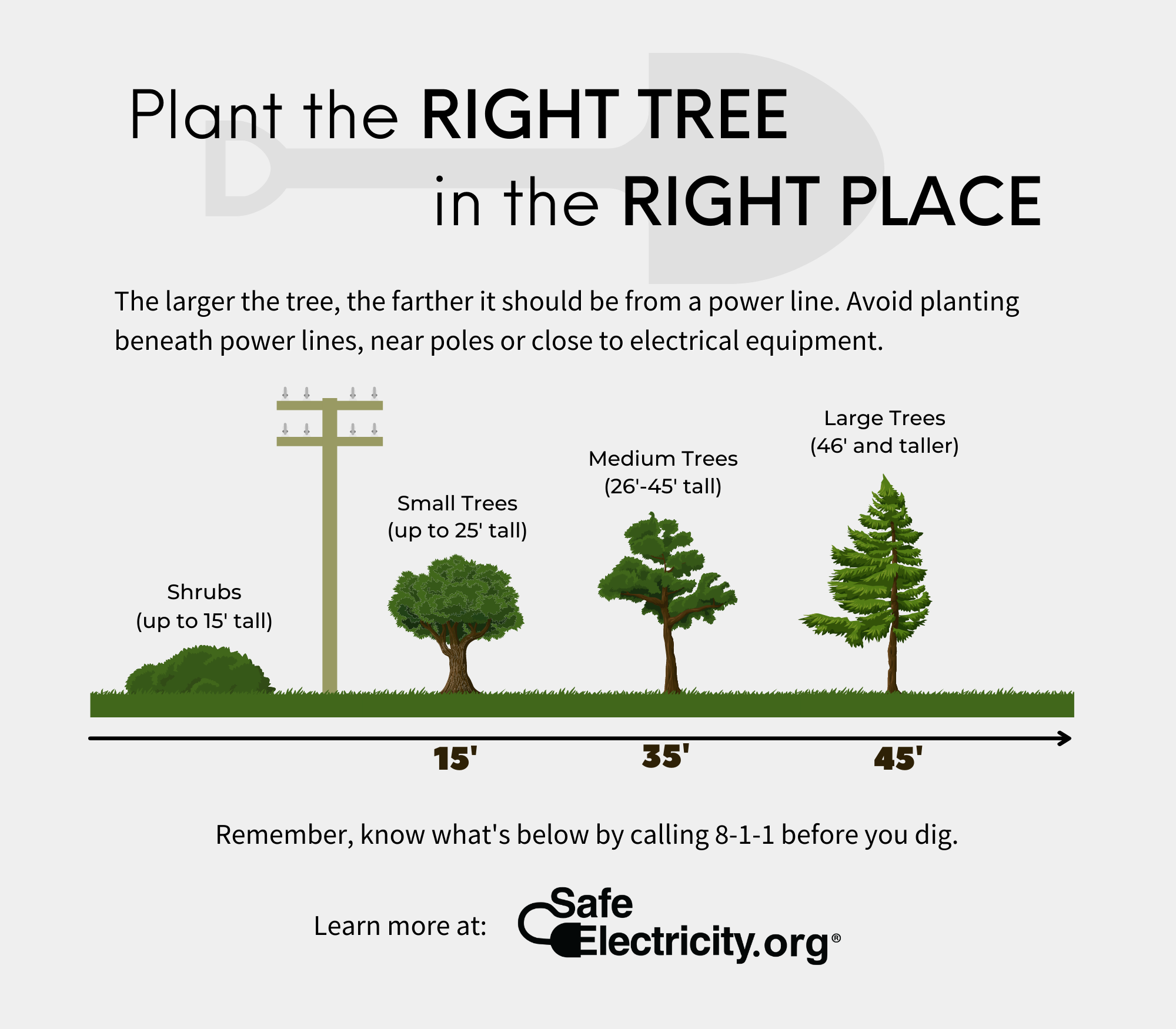 Plant Right Tree in the Right Place